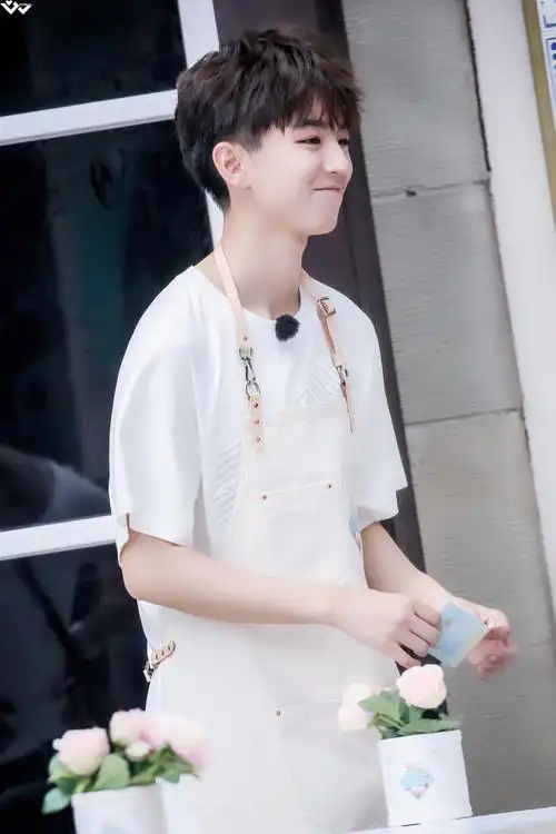 王俊凯中餐厅第二季 cr.logo