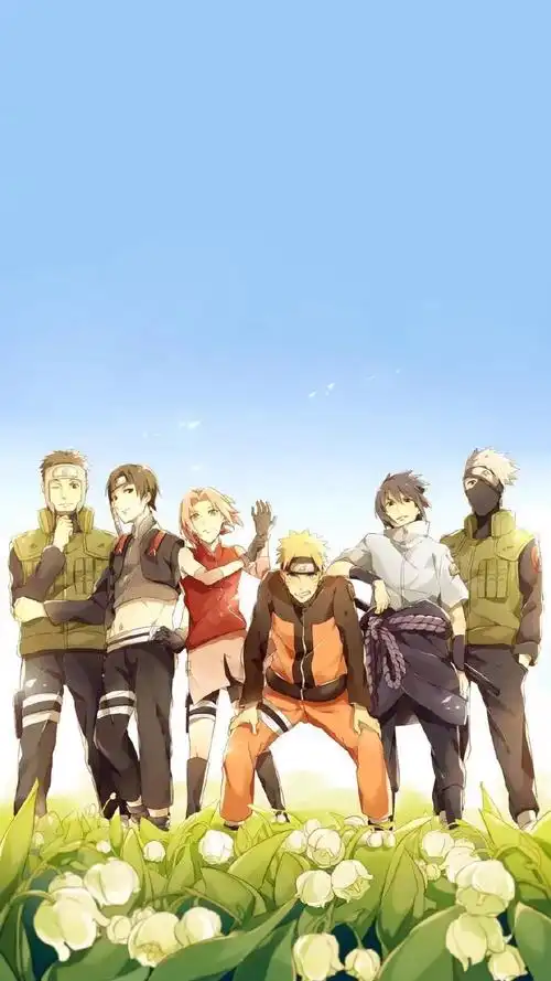 有没有火影忍者的壁纸类似大合照的那种