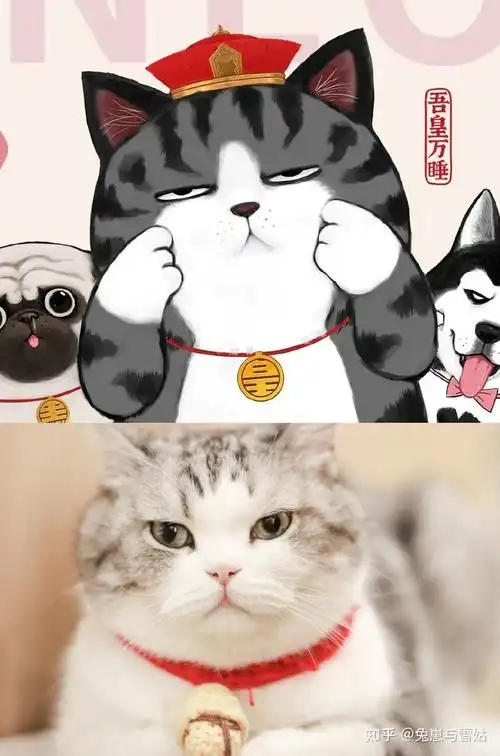 《吾皇万睡》吾皇吾皇猫是青年漫画家白茶的插画绘本《就喜欢你看不惯