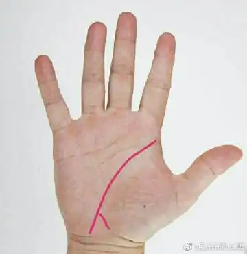 在手相中如图所示:生命线末端分叉者,可代.