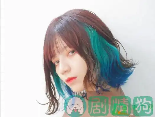 挂耳染和全染价格一样吗 长发挂耳染什么颜色好看--剧情狗