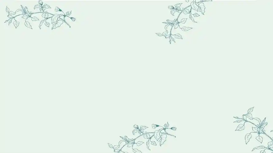 淡雅简约小清新通用ppt模板