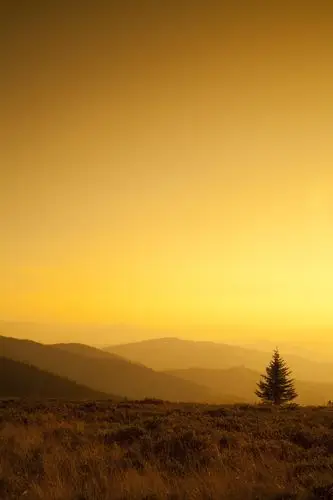 漂亮,山,日落,全景,照片