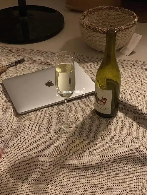 小房间的夜晚喝酒阅读写日记