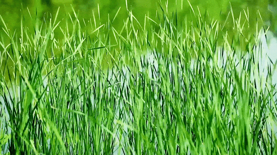 889_500gif 动态图 动图