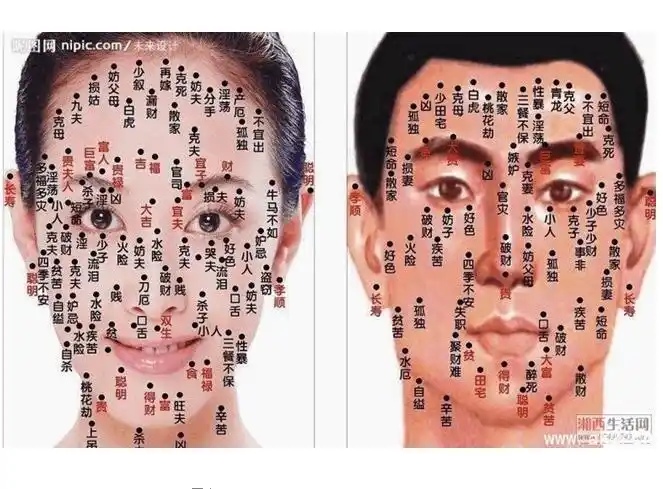 无忧文档 所有分类 人文社科 教育学/心理学 面相算命图解 word文档