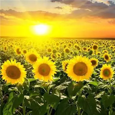 在一起的人留在身边微信最吉利的好看头像旺运带来好运的图片微信头像