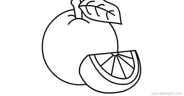 一半的橙子的简笔画