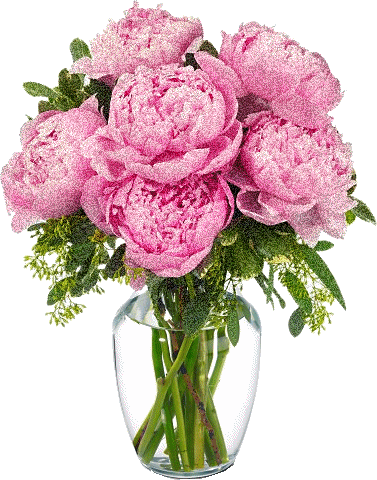 377_480竖版 竖屏gif 动态图 动图