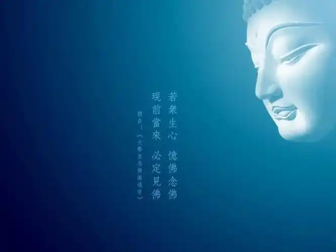 中国佛学66句震撼世界的禅语 - 叮咚溪水的日志 - 网易博客