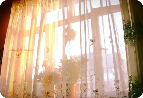 里 绿叶常青,四季花开 做童话里的主角 睡到自然醒, 让阳光透进房间