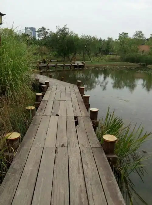 【携程攻略】常德白马湖文化公园景点,风景挺好的,湖光山色,适合散心