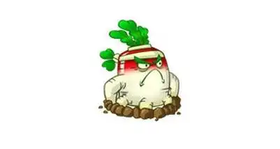 攻守兼备植物大战僵尸2白萝卜介绍