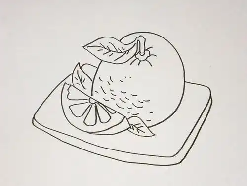 画简笔画橙子简笔画橙子简单简单的橙子简笔画教程步骤图片橙子简笔画