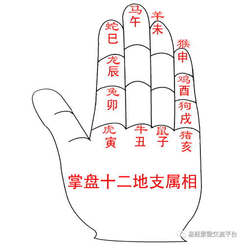 也是十二地支中子的位置.