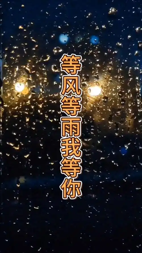歌曲《等风等雨我等你》表达男女之间深深的爱恋