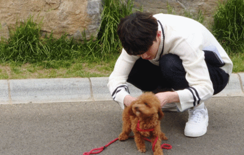 蔡徐坤为爱犬庆生