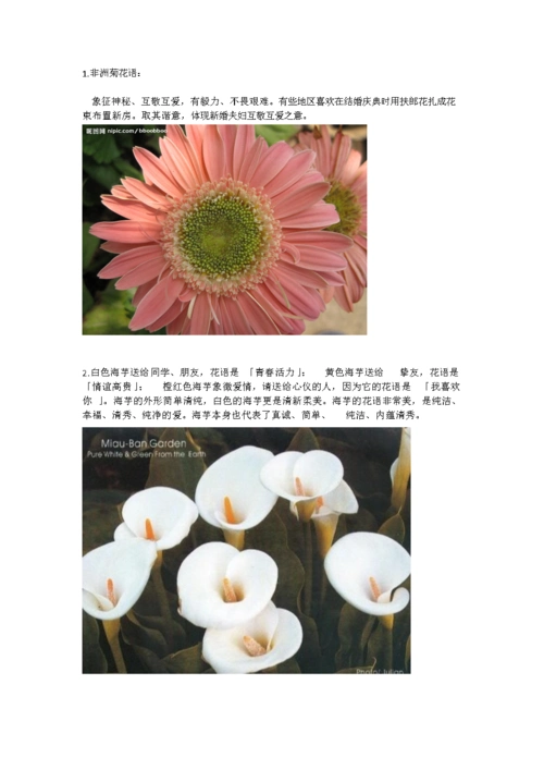 各种花花语及图片.doc