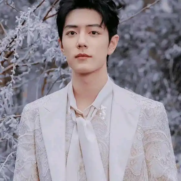 肖战2024年"连斩"六大冠军!创造历史第一人成就,商业价值很顶