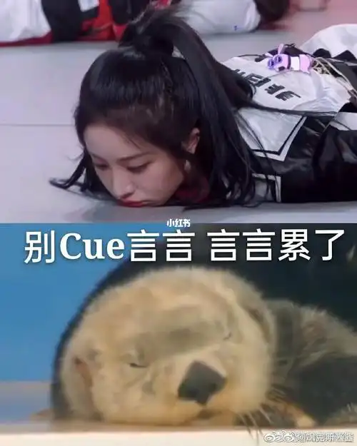 喻言表情包_表情包_喻言_娱乐_明星娱乐资讯