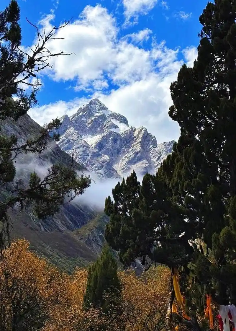 在稻城亚丁秋天的美丽风景中,大自然展现出了它独特的魅力.