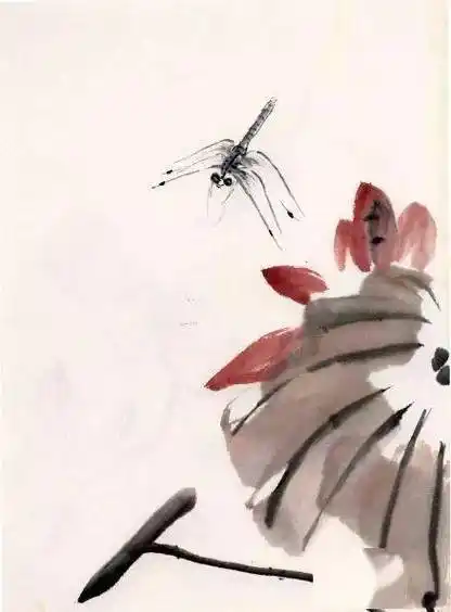 名家笔下的荷花蜻蜓美极了