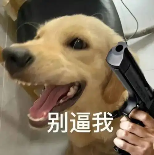 斗图必备!史上最可爱表情包大全,让你聊天不再冷场