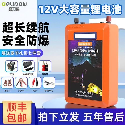 德力普12v锂电池电瓶大容大功率充电器磷酸铁锂24伏户外移动电源