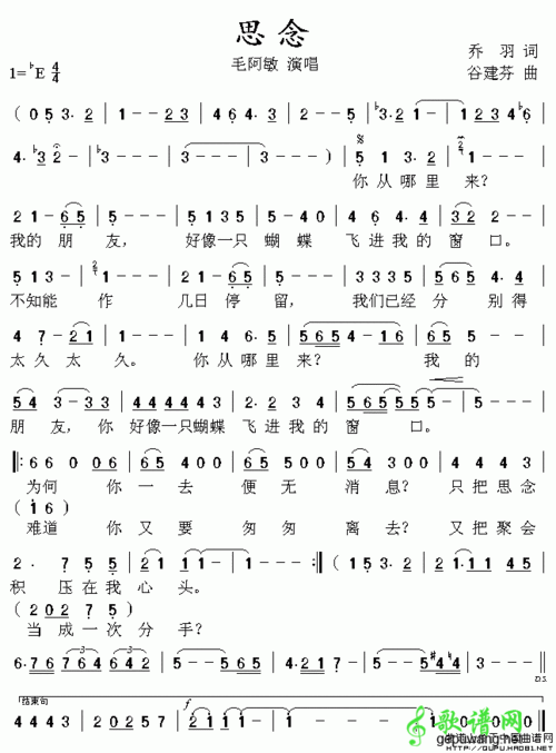 毛阿敏《思念》歌词由来