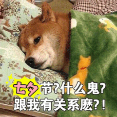 什么鬼?跟我有什么关系(诞生)_七夕节_什么_诞生_关系表情