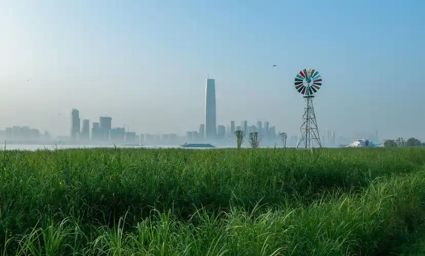 夏天的最后一波彩蛋,藏在这20组照片里|城市摄影队