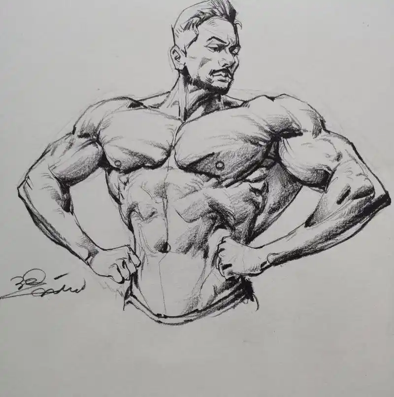 分享一波速写肌肉～ 快收藏起来学习