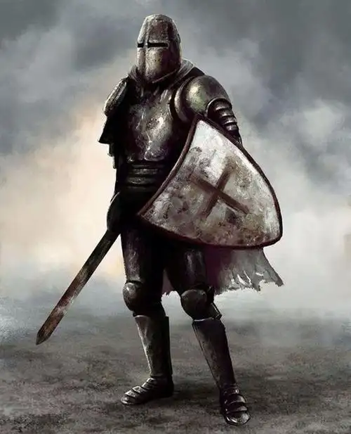 三,骑士制度对西欧的影响骑士制度作为中世纪欧洲的的标志物之一,对