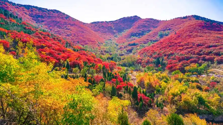 我爱济南的秋天