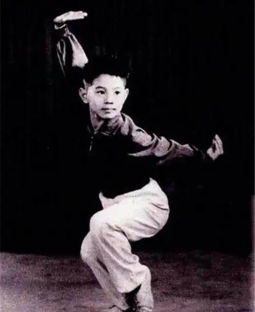 李连杰是林立果什么人(李连杰和林立果像)