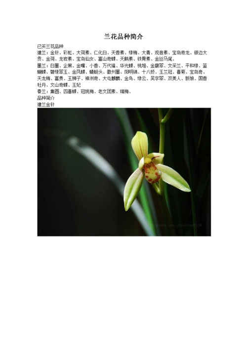 《兰花普通品种介绍》.doc