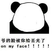 金馆长熊猫脸部空白图片