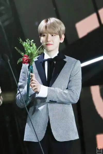 边伯贤 170113金唱片大赏 dream音源本赏捧花出席的小王子