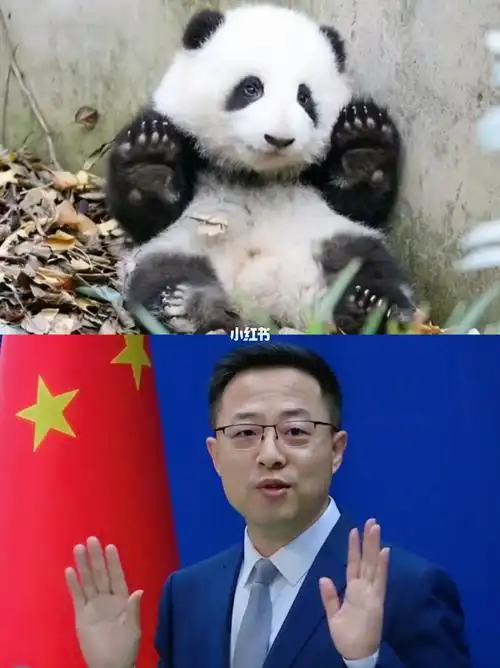 很可爱呦05_外交天团_社科_社科其他