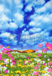 小清新花朵盛开h5动态背景图片素材