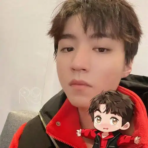 【微信头像】王俊凯