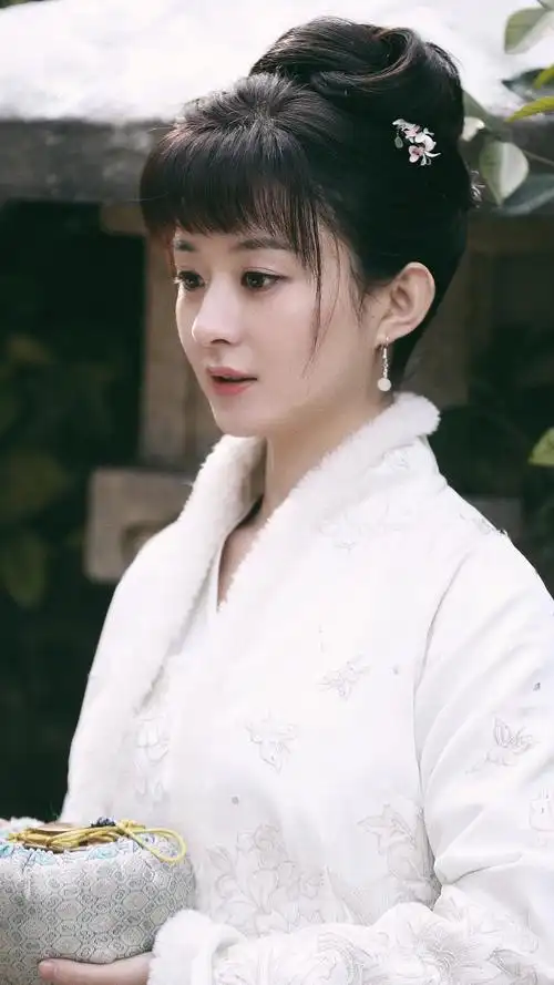 赵丽颖明兰美颜专楼