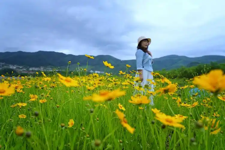 天地之间,唯有自己,不卑不亢,不争不怨,安静的,自然的,盛放自己的生命