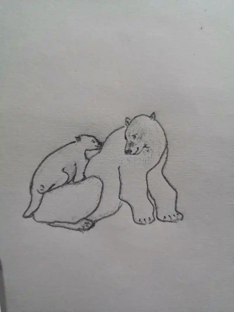 素描练习画动物北极熊母子