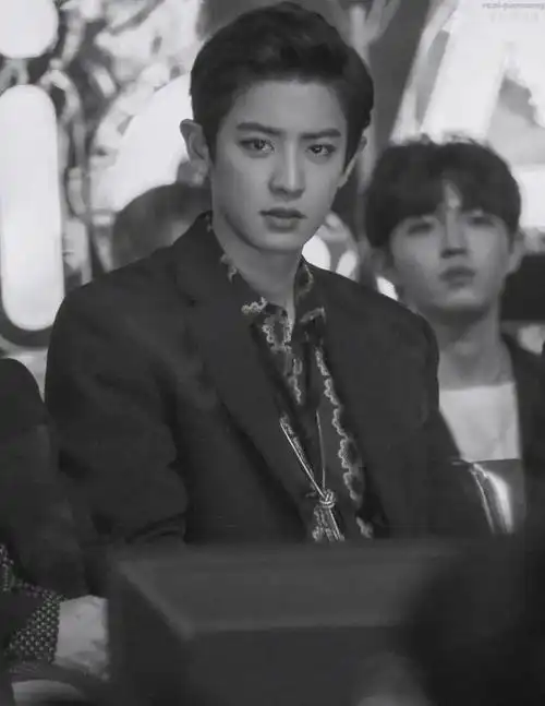 朴灿烈黑白氛围图合集