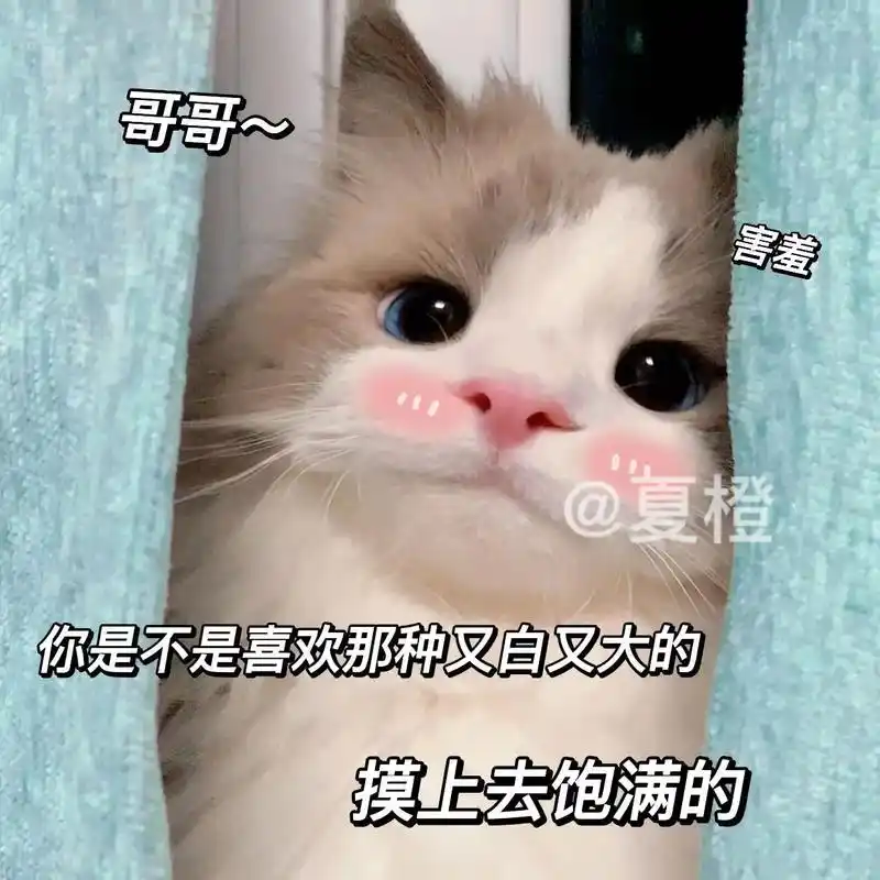 发给你的男朋友套路他一下.#表情包 #猫咪表情包 #套路表情 - 抖音