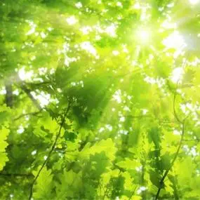 乐观积极正能量的头像高清好看的积极阳光正能量图片头像