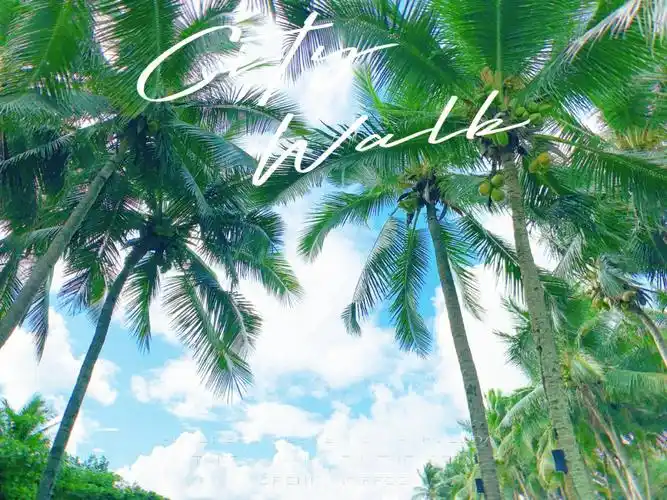 三亚大海蓝天椰树