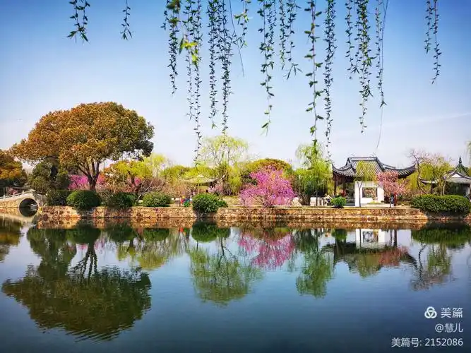 其它 握一手春光,揽春景无数——2020年无锡春景之