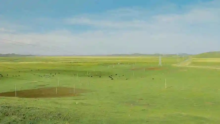 四川若尔盖草原绿色风景壁纸